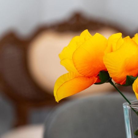 Sinarádes Summer Cottage מראה חיצוני תמונה