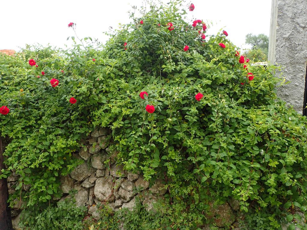 Sinarádes Summer Cottage מראה חיצוני תמונה
