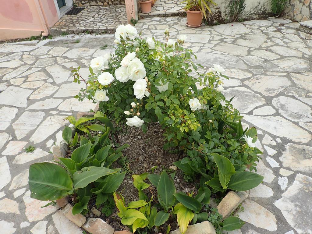 Sinarádes Summer Cottage מראה חיצוני תמונה